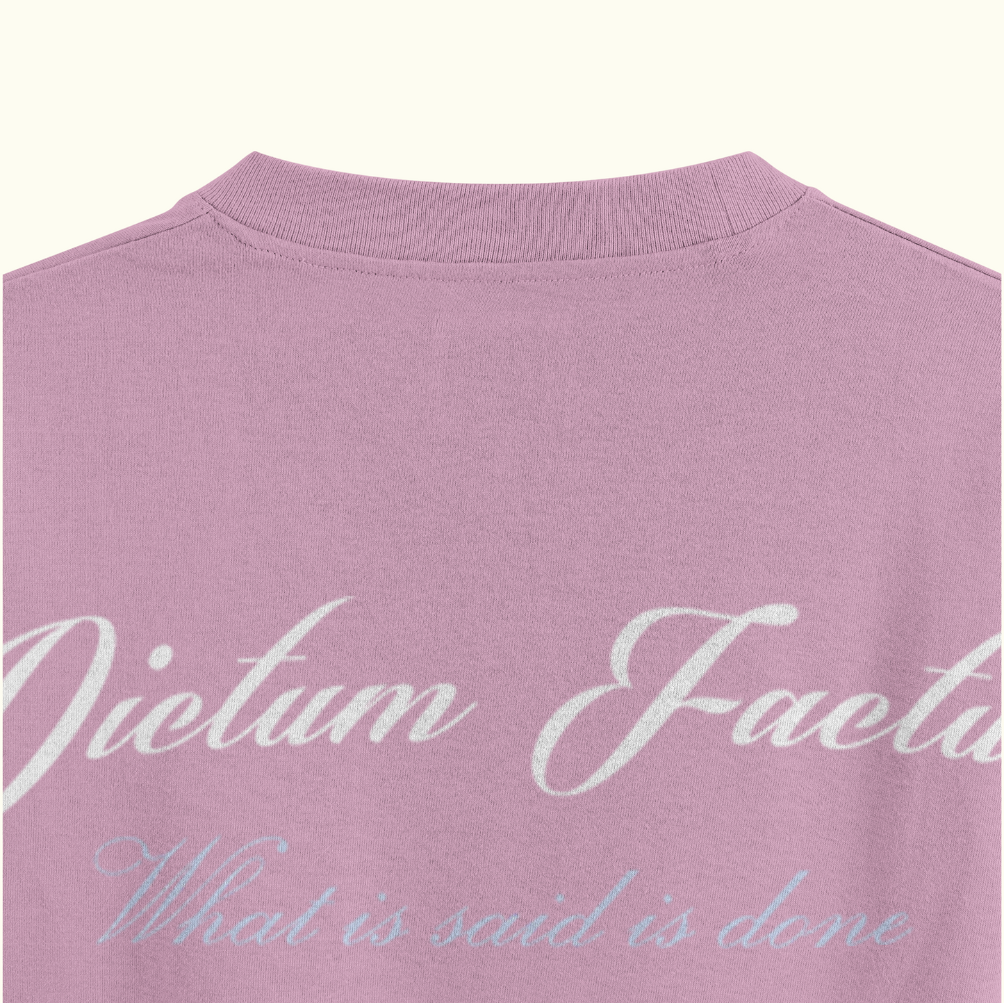 DICTUM FACTUM T-SHIRT
